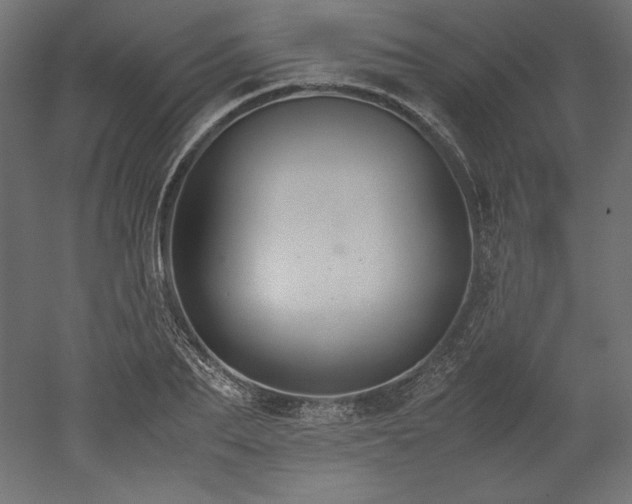 X0000051900887200507011504