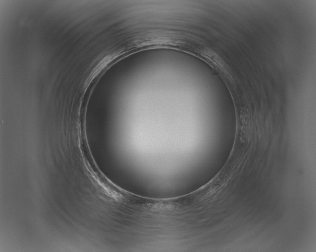 X0000051900890200507011504