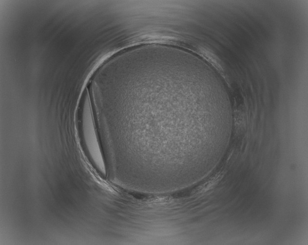 X0000051900891200507011504