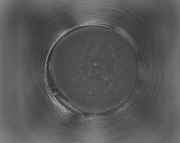 X0000051900892200507011504