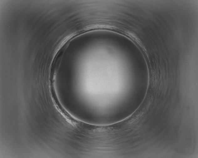 X0000051900898200507011504