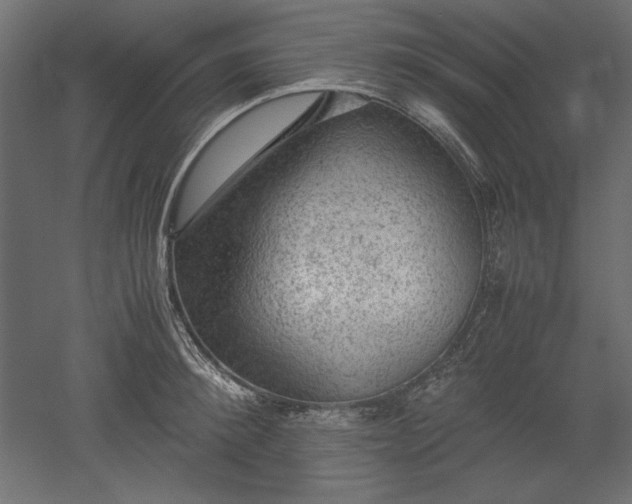 X0000051900900200507011504
