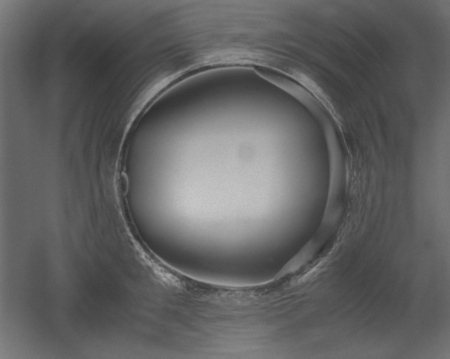 X0000051900901200507011504
