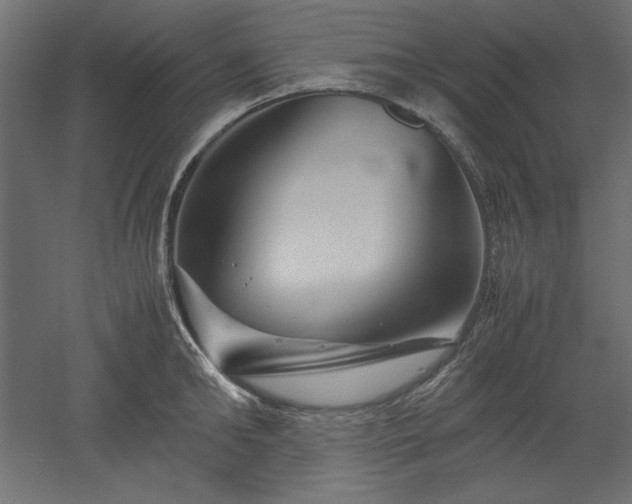 X0000051900902200507011504