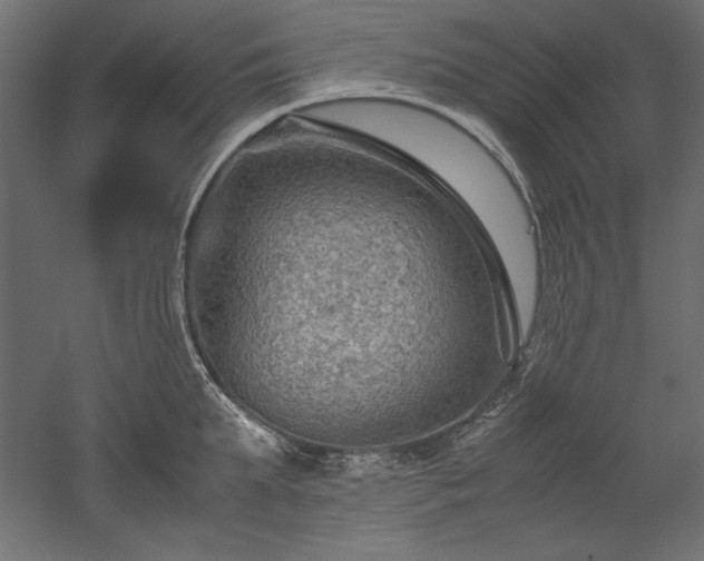 X0000051900903200507011504