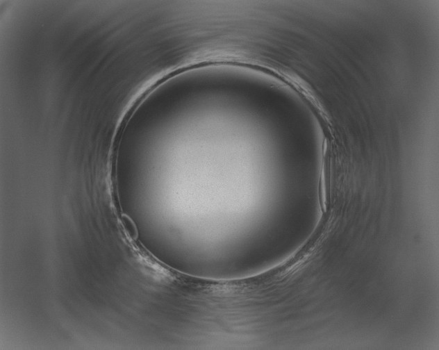 X0000051900904200507011504