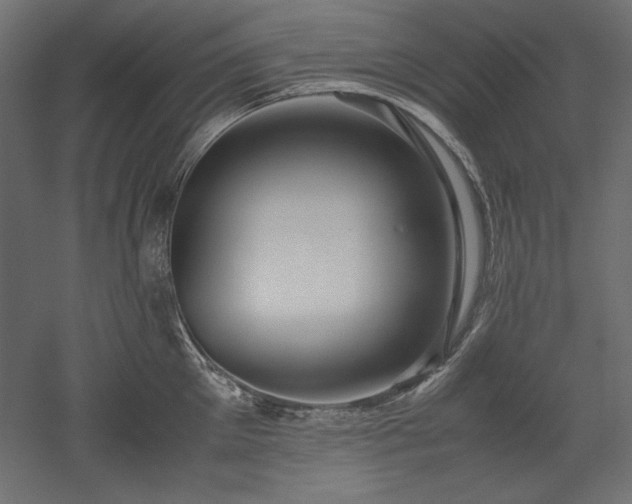 X0000051900905200507011504
