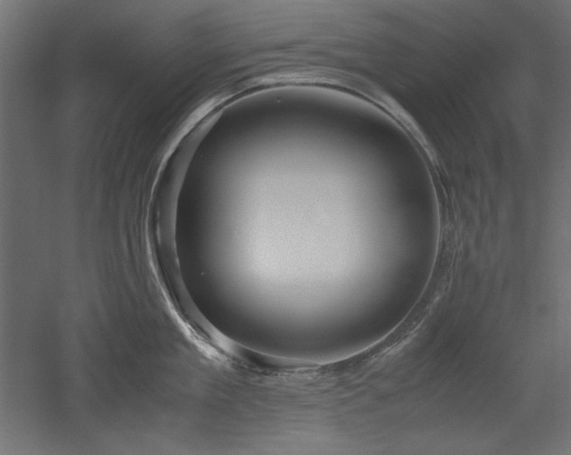 X0000051900909200507011504