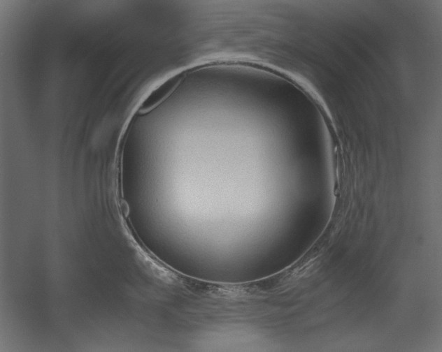 X0000051900911200507011504