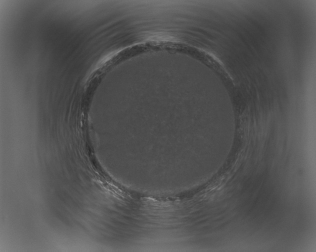 X0000051900919200507011503