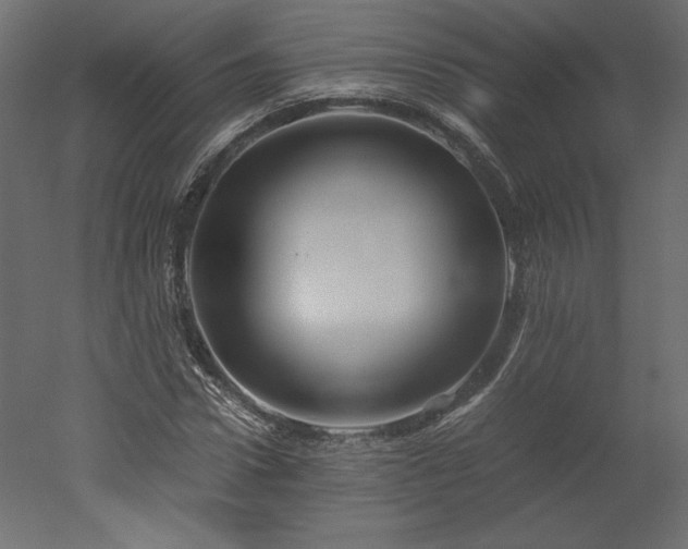 X0000051900922200507011503