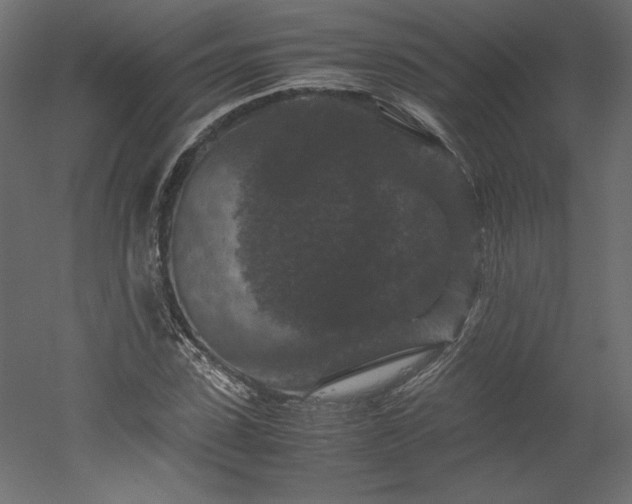 X0000051900923200507011503