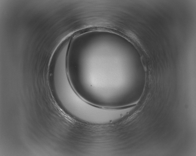 X0000051900924200507011503