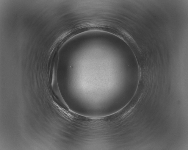 X0000051900930200507011503