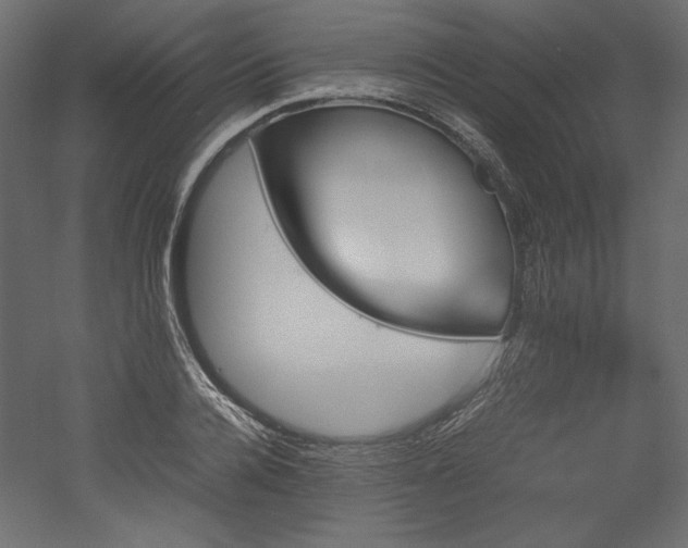 X0000051900936200507011503
