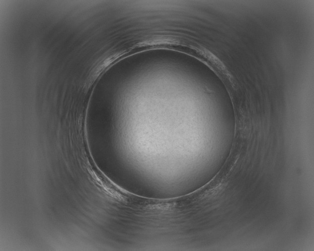 X0000051900937200507011503