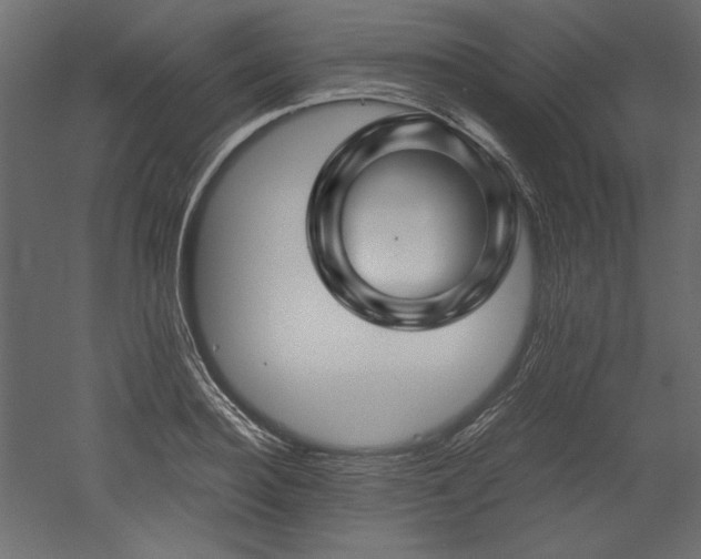 X0000051900940200507011503