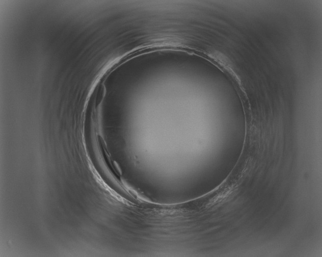 X0000051900941200507011503