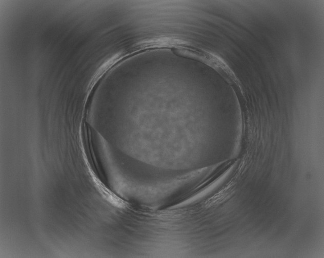 X0000051900946200507011504