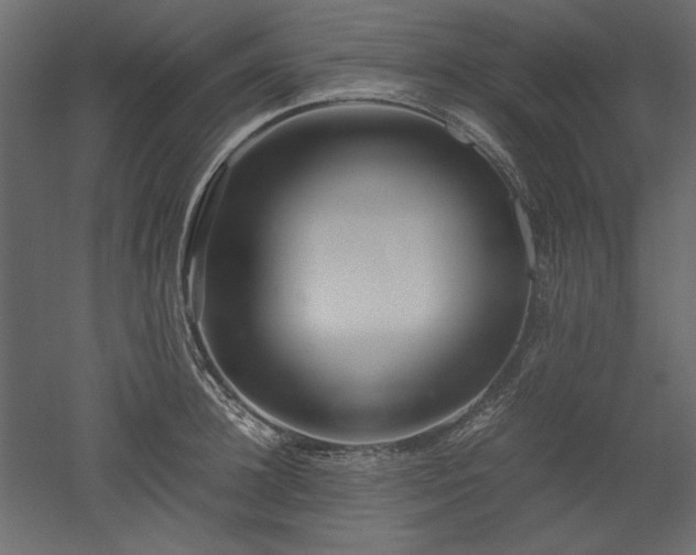 X0000051900948200507011504