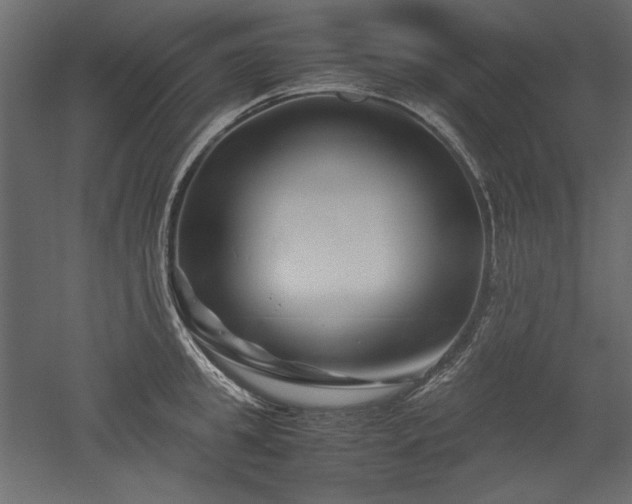 X0000051900949200507011504