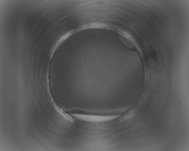 X0000051900954200507011504