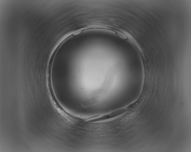 X0000051900955200507011504
