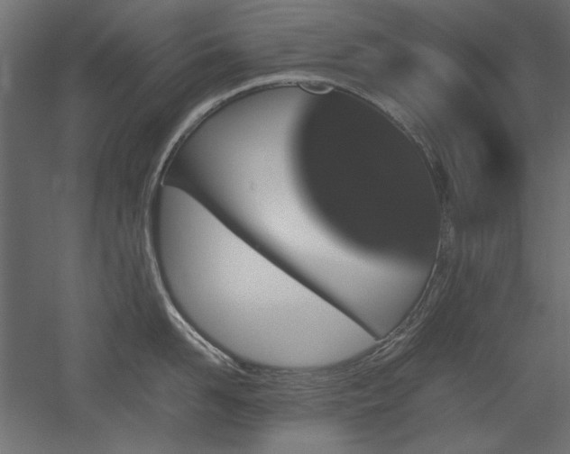 X0000051900958200507011504
