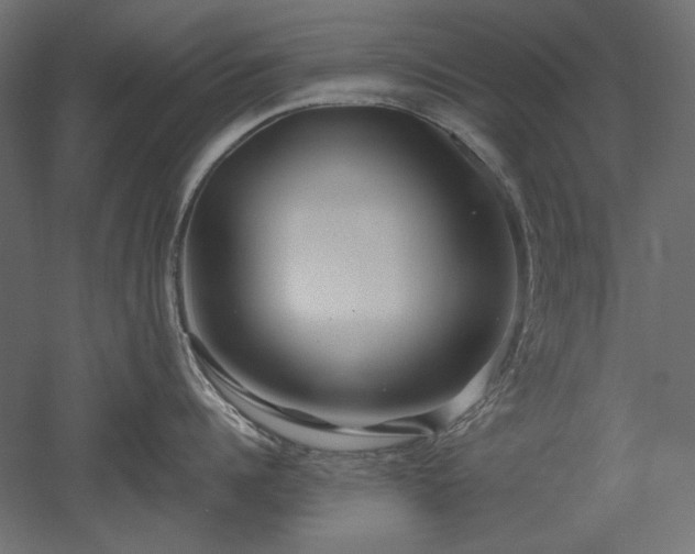 X0000051900960200507011504