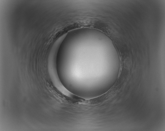 X0000051900961200507011503