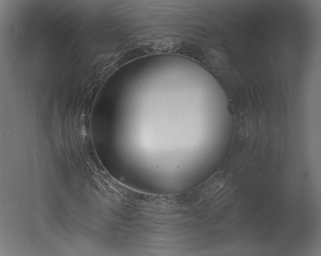 X0000051900962200507011503