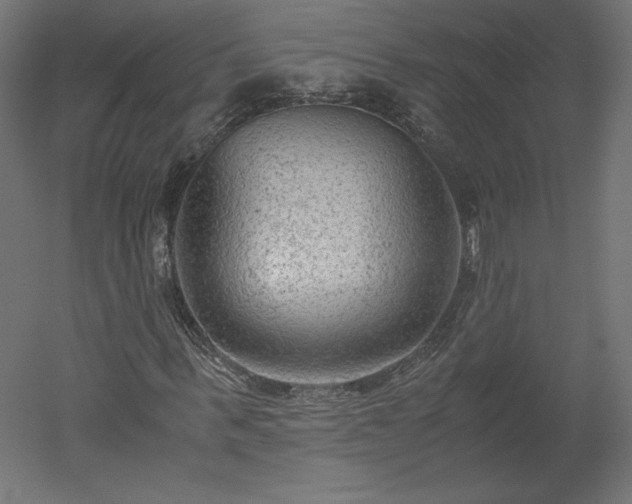 X0000051900963200507011503