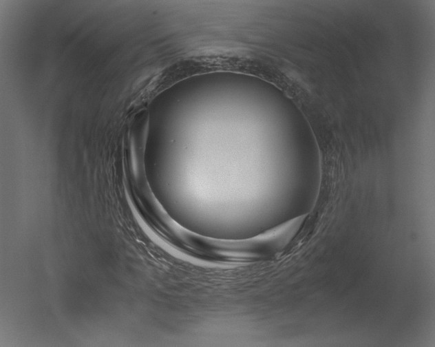 X0000051900965200507011503