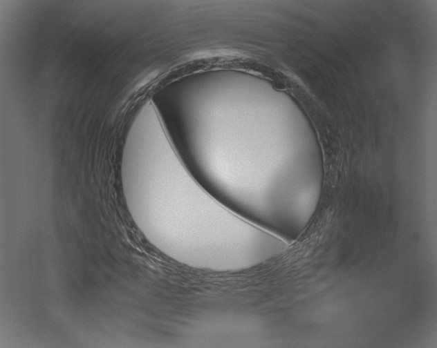 X0000051900967200507011503