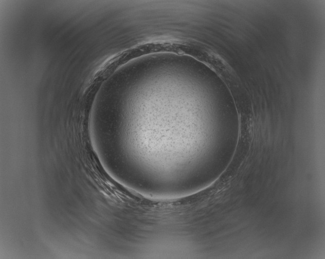 X0000051900968200507011503
