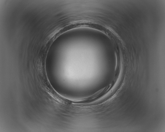 X0000051900969200507011503