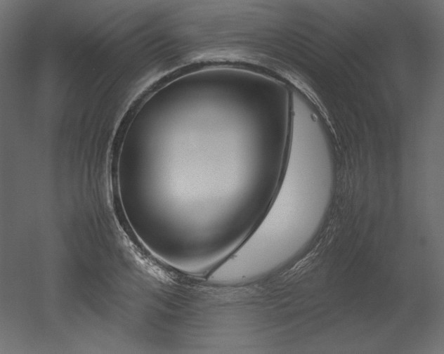 X0000051900984200507011503