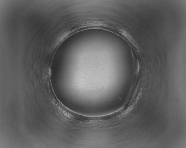 X0000051900985200507011503