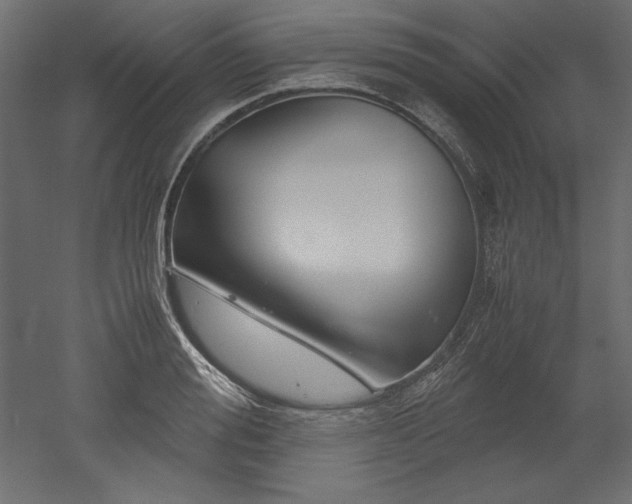 X0000051900988200507011503
