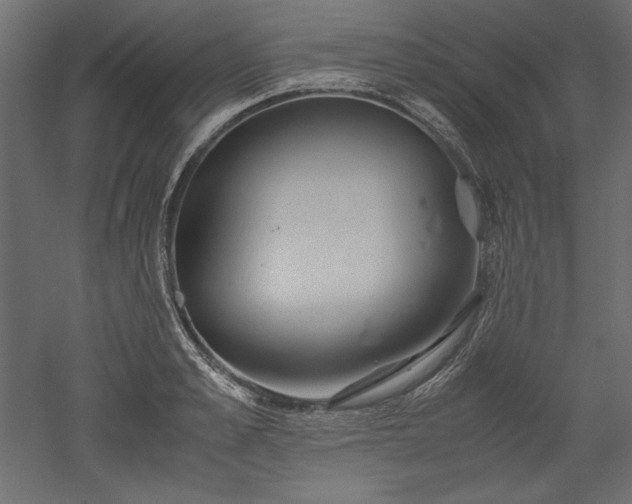 X0000051900989200507011502