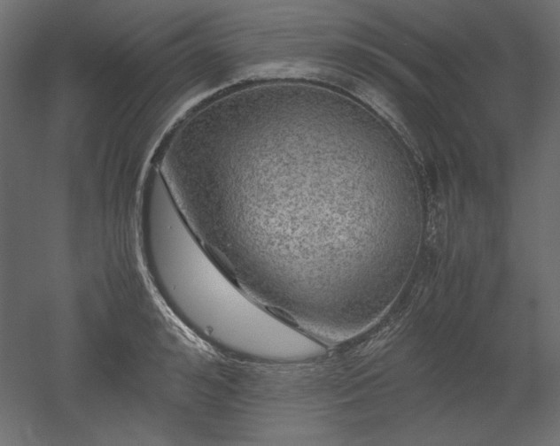 X0000051900992200507011502
