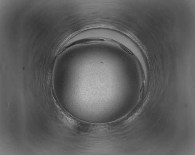 X0000051900993200507011502