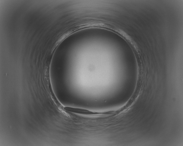 X0000051901001200507011502