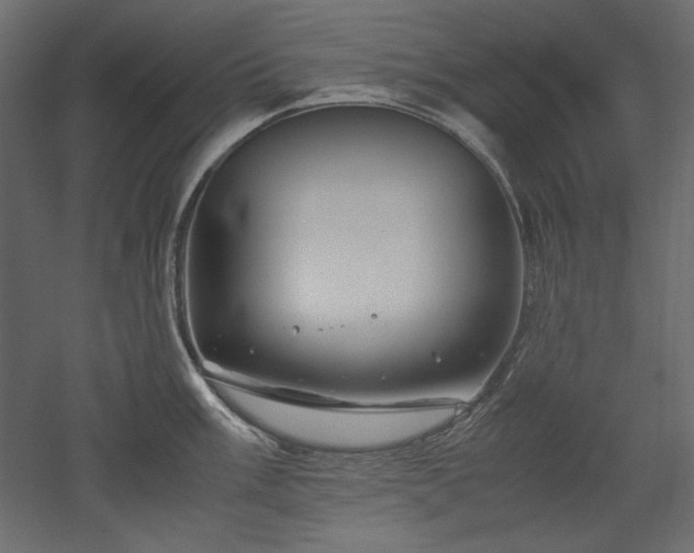 X0000051901003200507011502