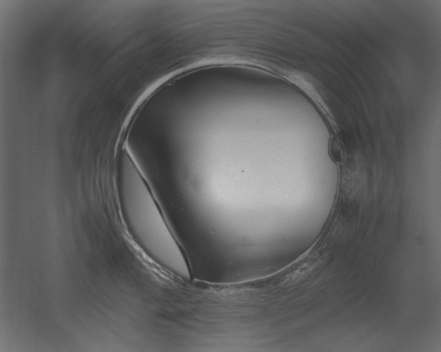 X0000051901004200507011502