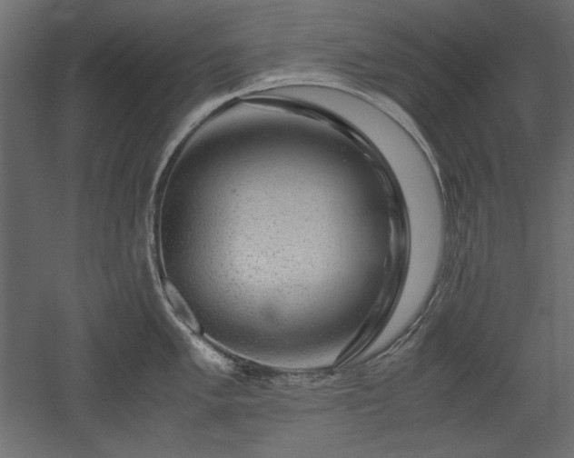 X0000051901005200507011502