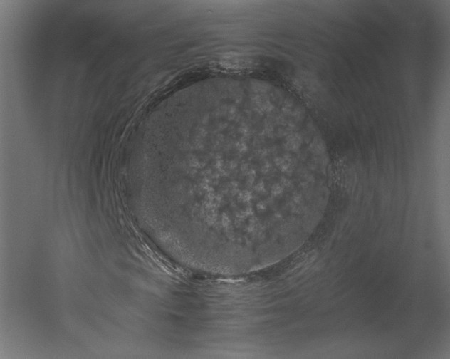 X0000051901009200507011501