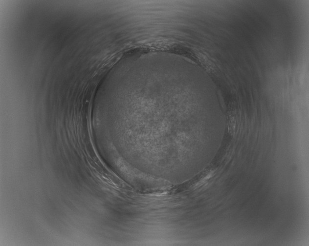 X0000051901010200507011501