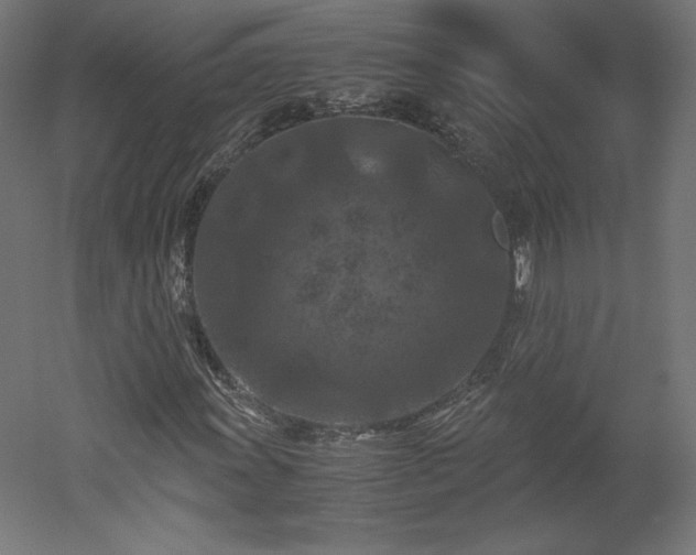 X0000051901011200507011501