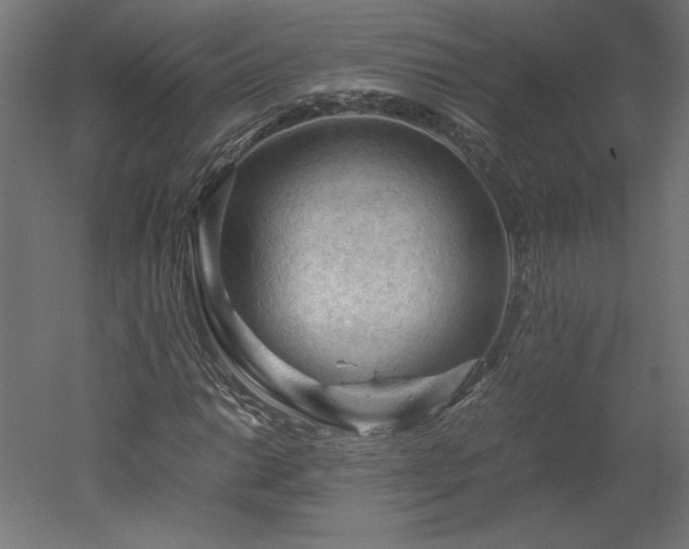 X0000051901014200507011501